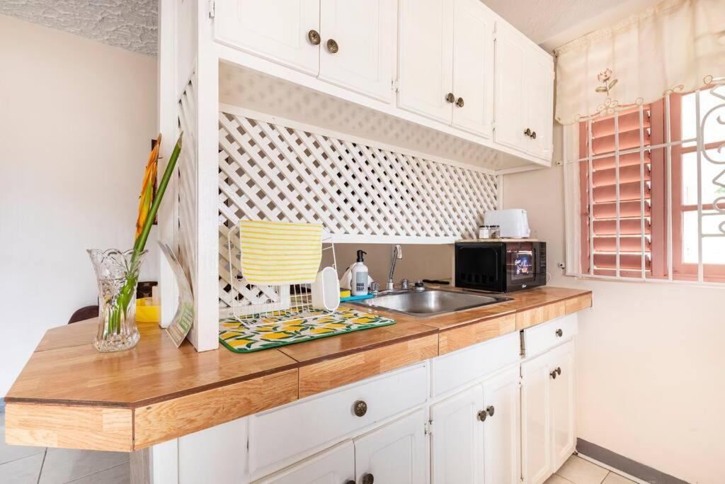Shaw Park Gem Apt 12A Ocho Rios Bagian luar foto